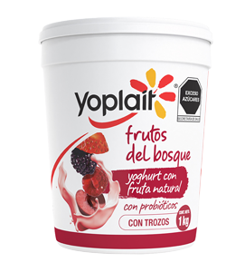 Yoghurt Batido Frutos del Bosque Yoplait 1 Kg